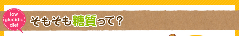 そもそも糖質って？