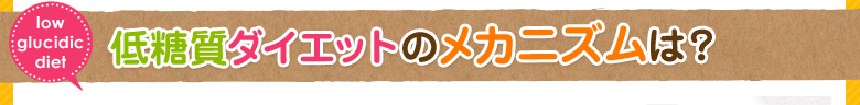 低糖質ダイエットのメカニズムは？