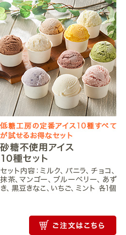 砂糖不使用アイス10種セット