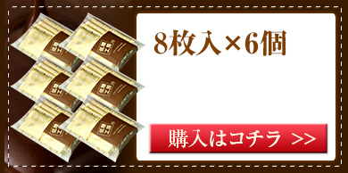 キャレタイプ8枚入6個セット