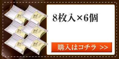 キャレタイプ8枚入6個セット