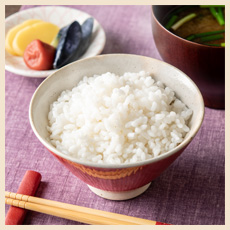 低糖質でおいしいごはん