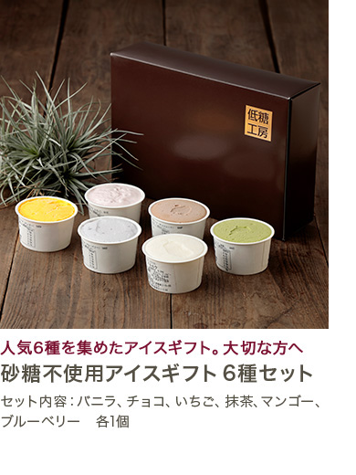 砂糖不使用アイスギフト6種セット