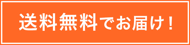 送料無料でお届け