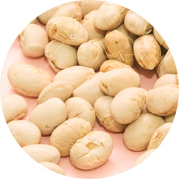 大豆粉を使っています