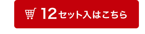 12セット入はこちら
