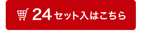 24セット入はこちら