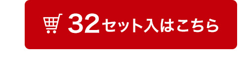 32セット入はこちら