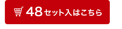 48セット入はこちら